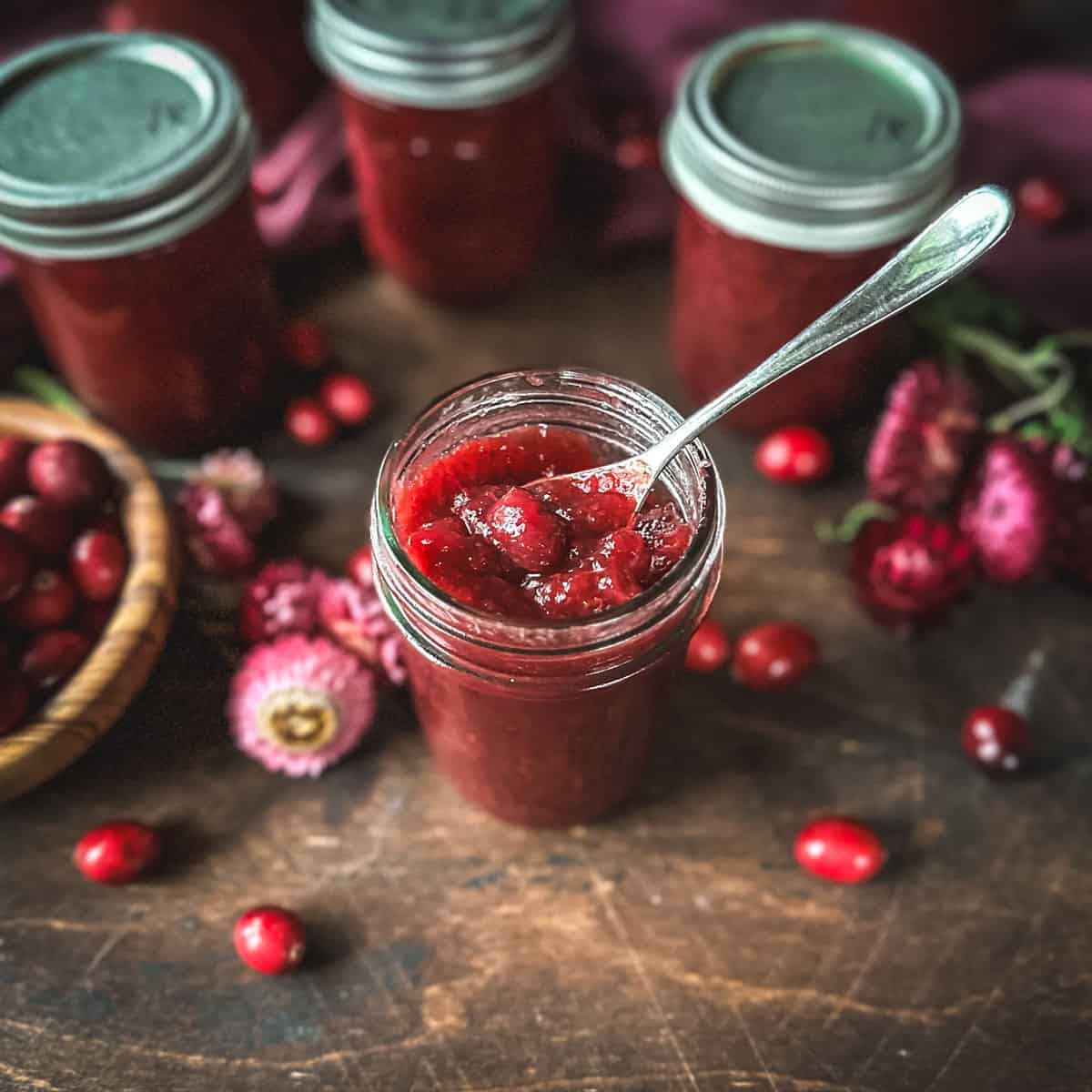 A jar of cranberry sauce opened with a spoon in it, on a dark wood surface surrounded by fresh cranberries, dried flowers, and closed jars of cranberry sauce. 