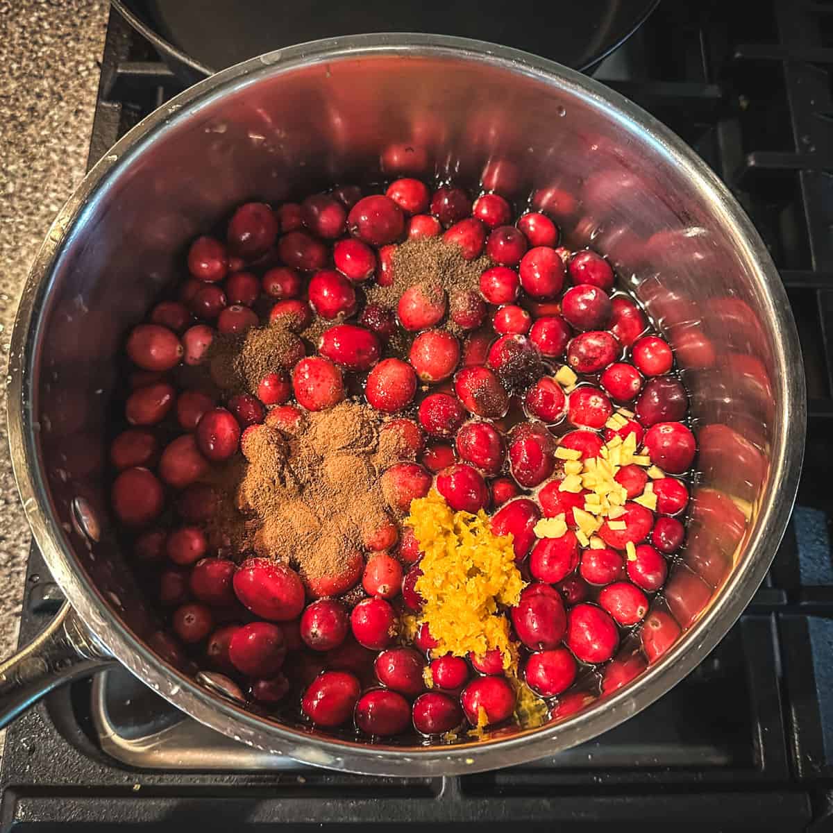 Cranberries, ginger, spices, and all of the ingredients in a pot, top view. 