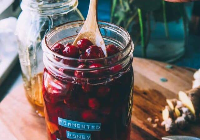 fermented cranberries in honey