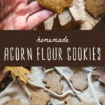 homemade acorn flour cookies