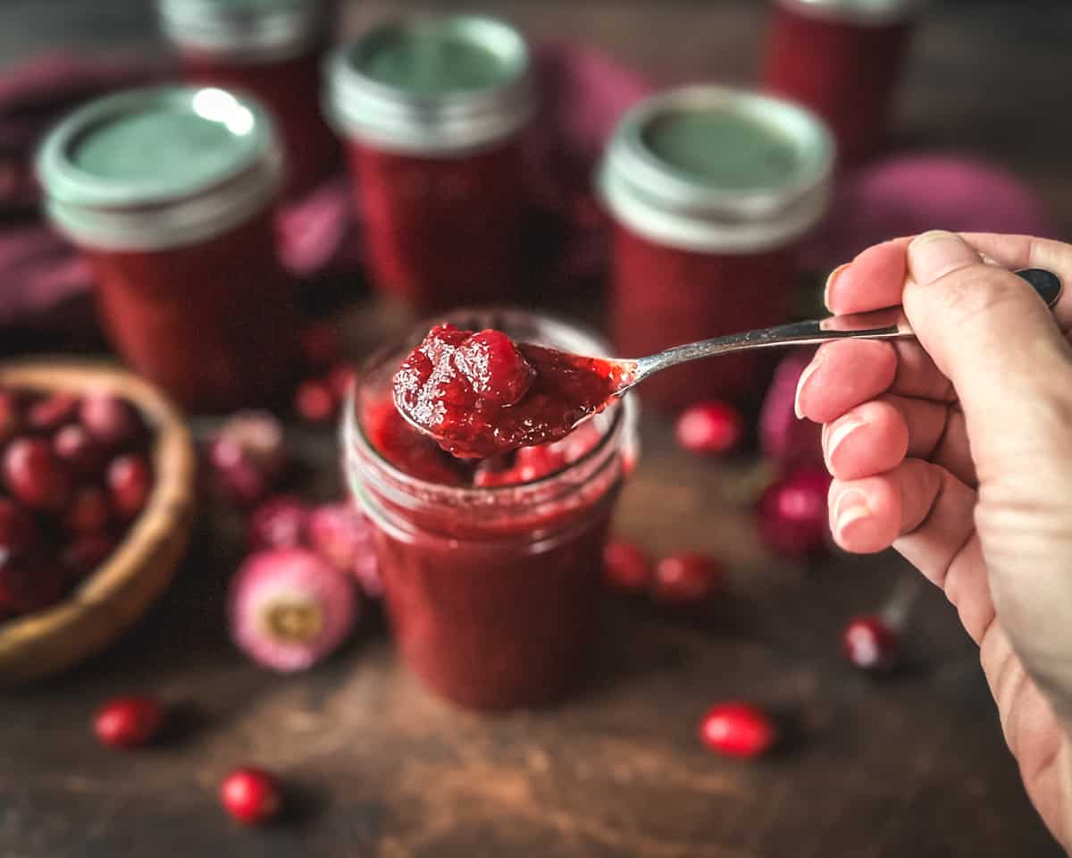 An opened jar of canned cranberry sauce with a big spoonful being taken out, on a dark wood surface surrounded by fresh cranberries, other jars of cranberries, and a bowl of fresh cranberries. 