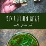 DIY lotion bars with pine oil