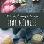best ways to use pine needles
