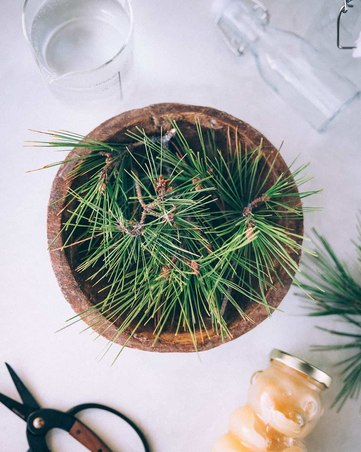 Foraged pine needle clusters in a wood bowl on a white surface, surrounded by empty bottles, fresh pine needles, and scissors. 