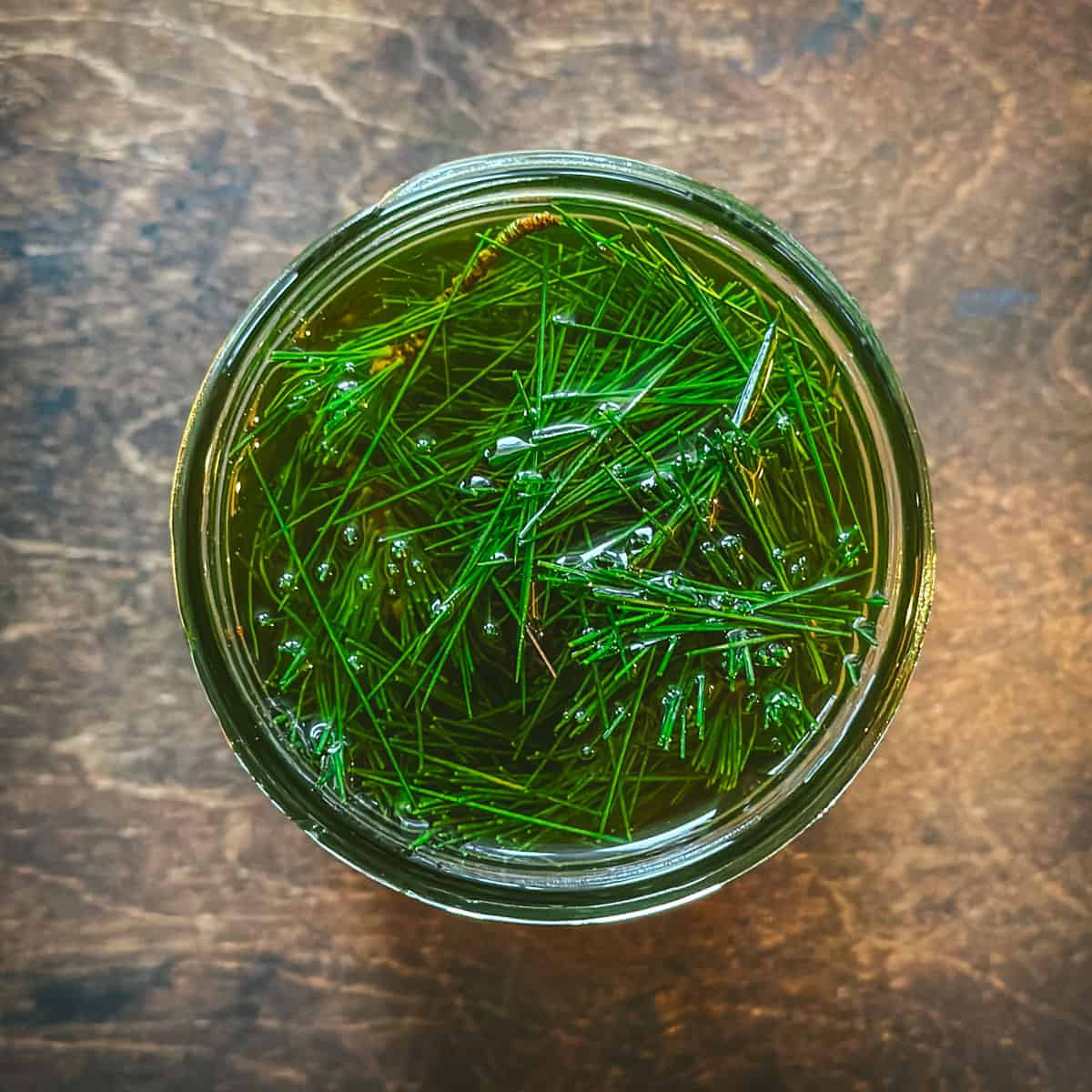 A jar filled with green pine needles infusing in oil, sitting on a dark wood surface. Top view.
