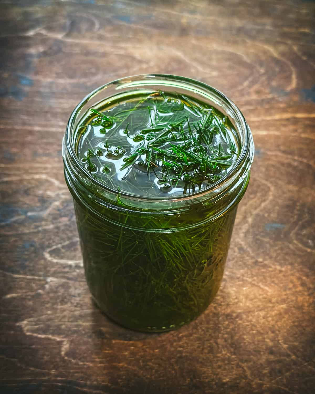 A jar filled with green pine needles infusing in oil, sitting on a dark wood surface. 