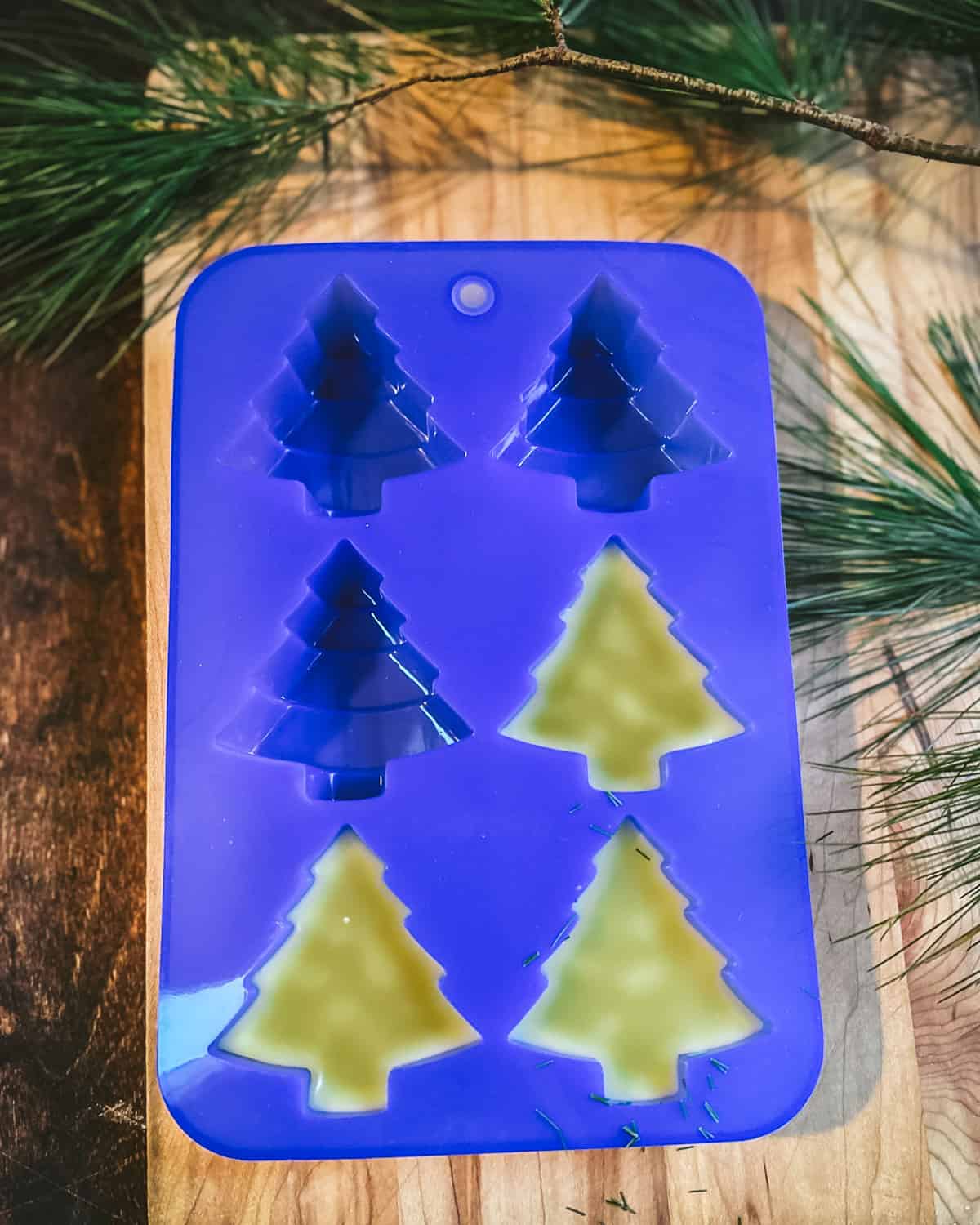 Silicone tree molds half filled with pine needle lotion bar oil. 