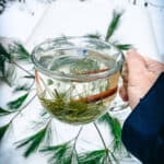 a hand holding a mug of pine needle tea with snow and pine needles in the background