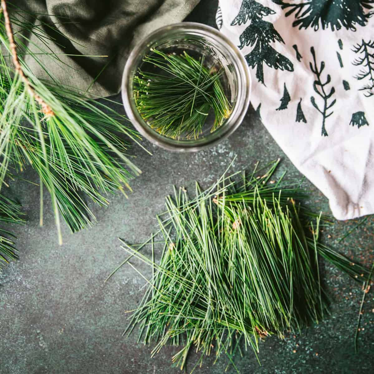 pine needles on a table and in a jar