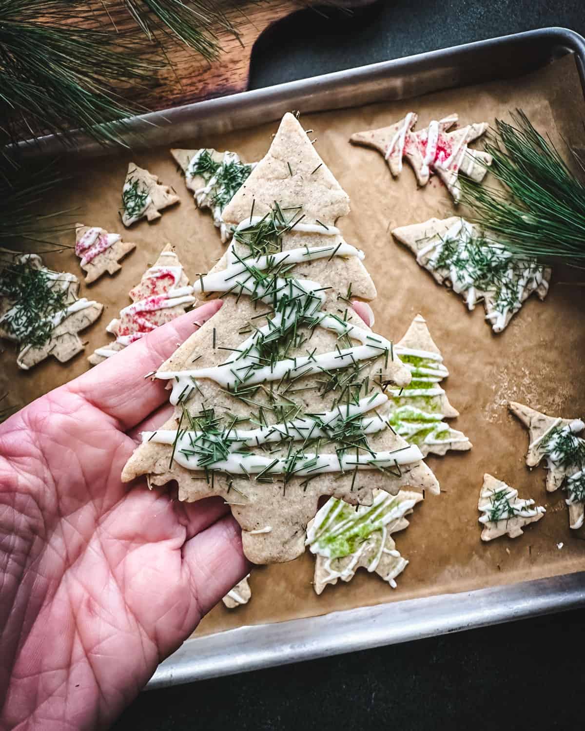 A tree shaped pine needle cookie with icing drizzle and pine needles sprinkled on top, held up by a hand. A cookie sheet with other tree cookies is in the background. 