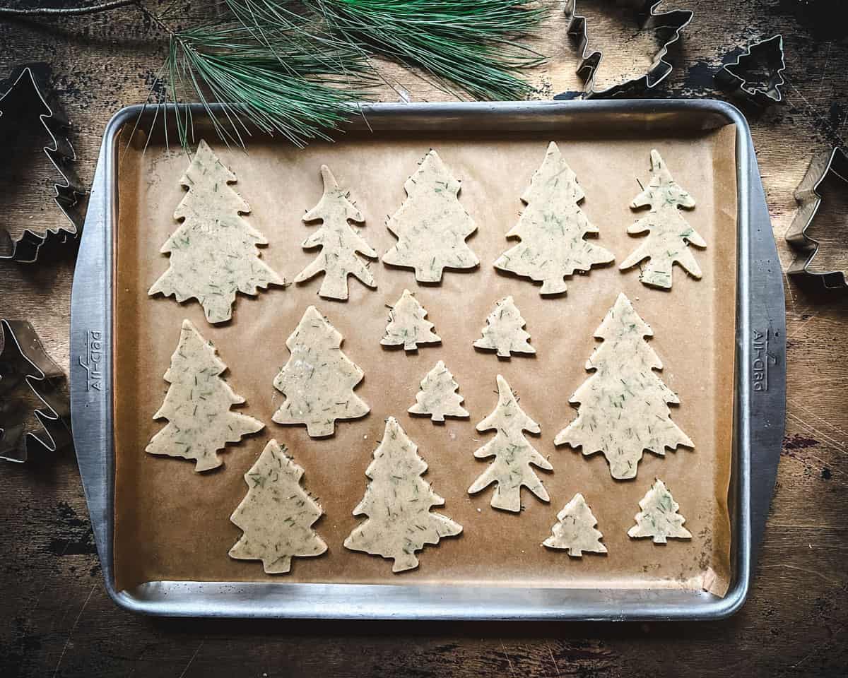 Tree cookies on a baking sheet, surrounded by pine needles. 