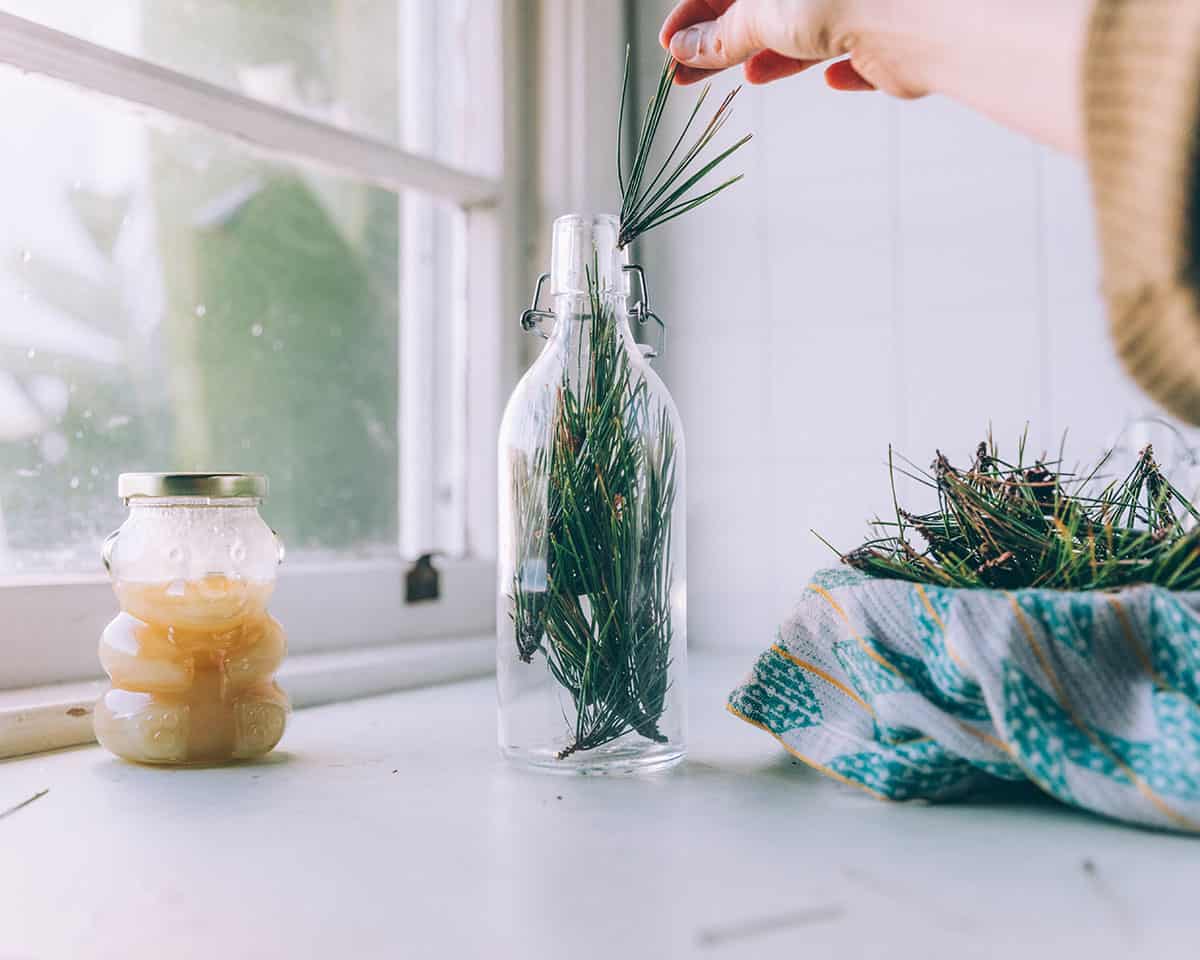 A hand placing fresh pine needles in a flip top bottle, with a honey bear and a pile of freshly rinsed pine needles surrounding. 