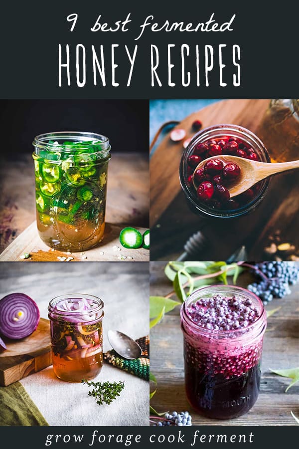 9 Fermented Honey Recipes to Make This Year