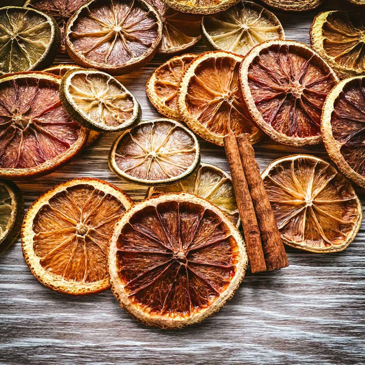 Dried slices of various citrus lying on a gray wood surface, with cinnamon sticks on top. 