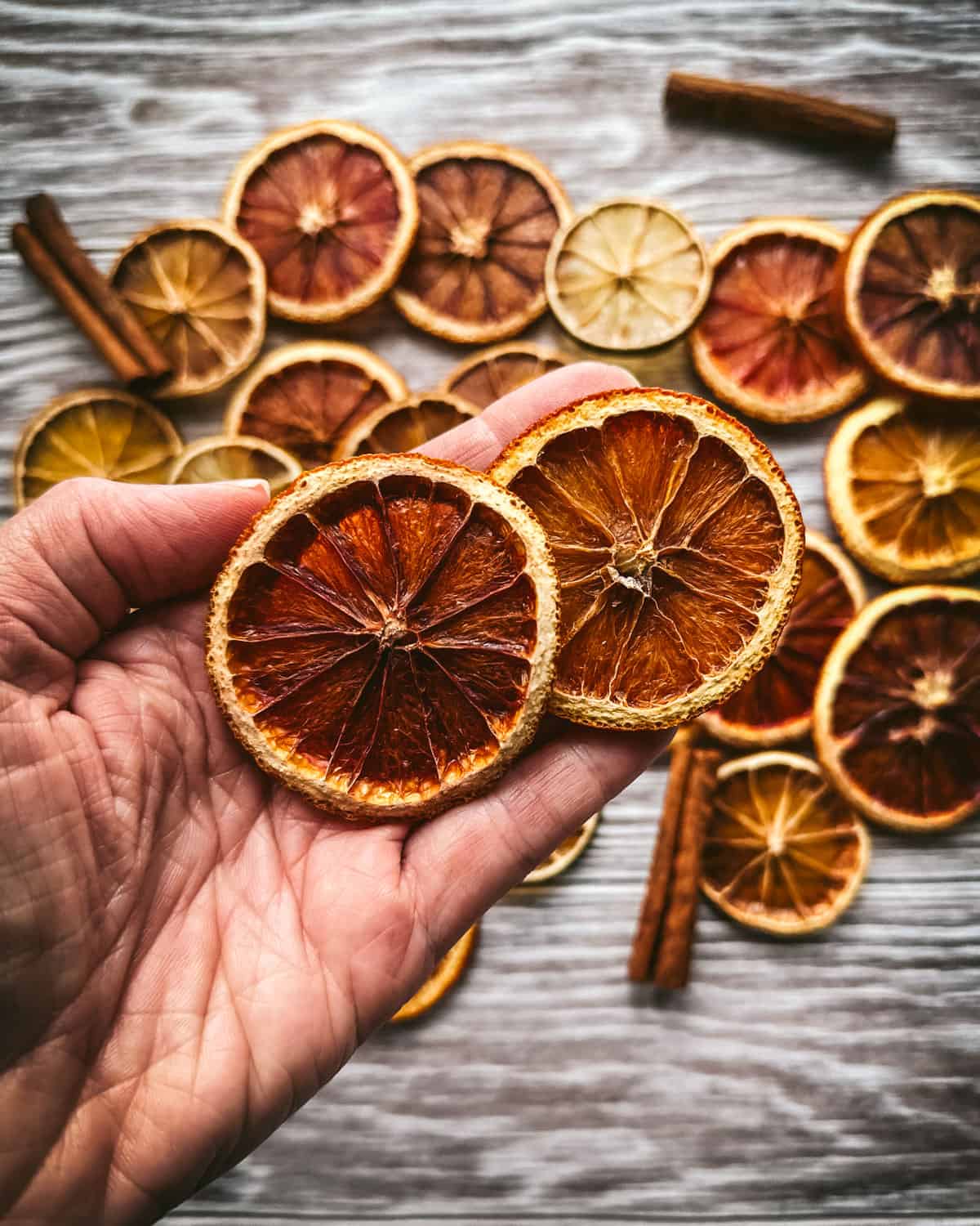 A close-up of a hand holding two dried orange slices, top view. In the background is a pile of dried citrus slices with cinnamon sticks on a gray wood surface. 