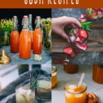 fermented soda recipes