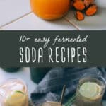 fermented soda recipes