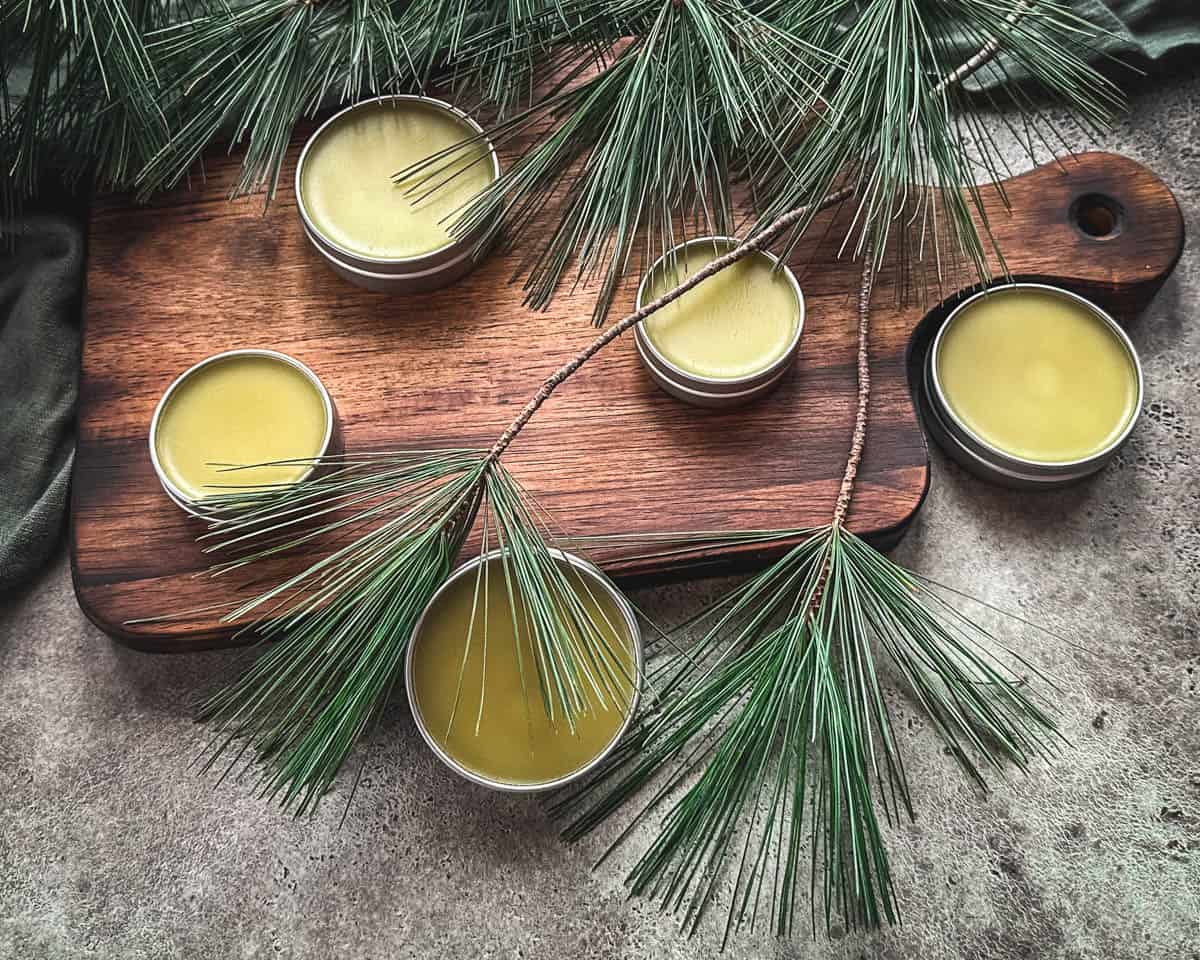 Finished pine salve in tins  on a wood cutting board surrounded by pine fronds.