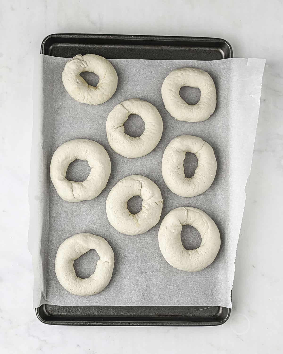 Sourdough bagel doughs on a parchment lined baking sheet, top view. 