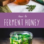 how to ferment honey