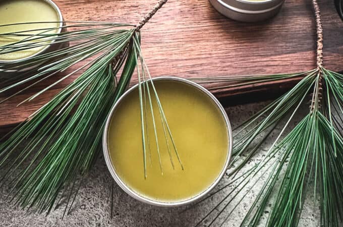 Pine salve in tins, on a wood cutting board surrounded by pine fronds.