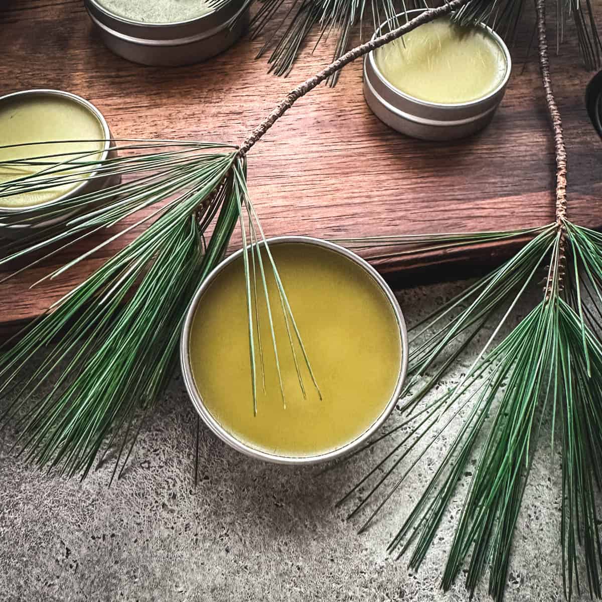 Pine salve in tins, on a wood cutting board surrounded by pine fronds. 
