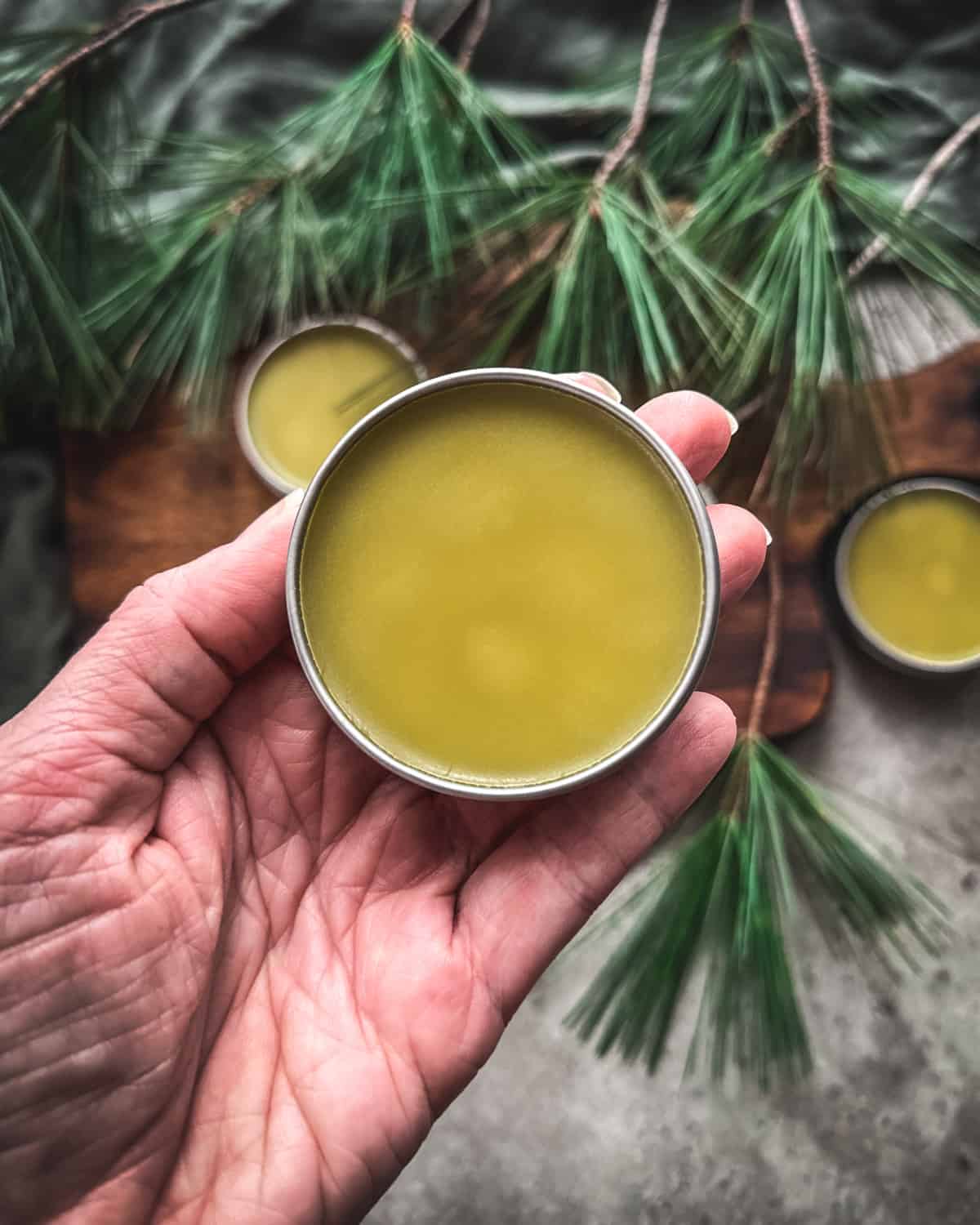 A hand holding up a tin of pine salve, over a wood board with other pine salve tins and pine fronds. 