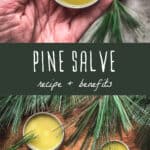 pine salve recipe and benefits