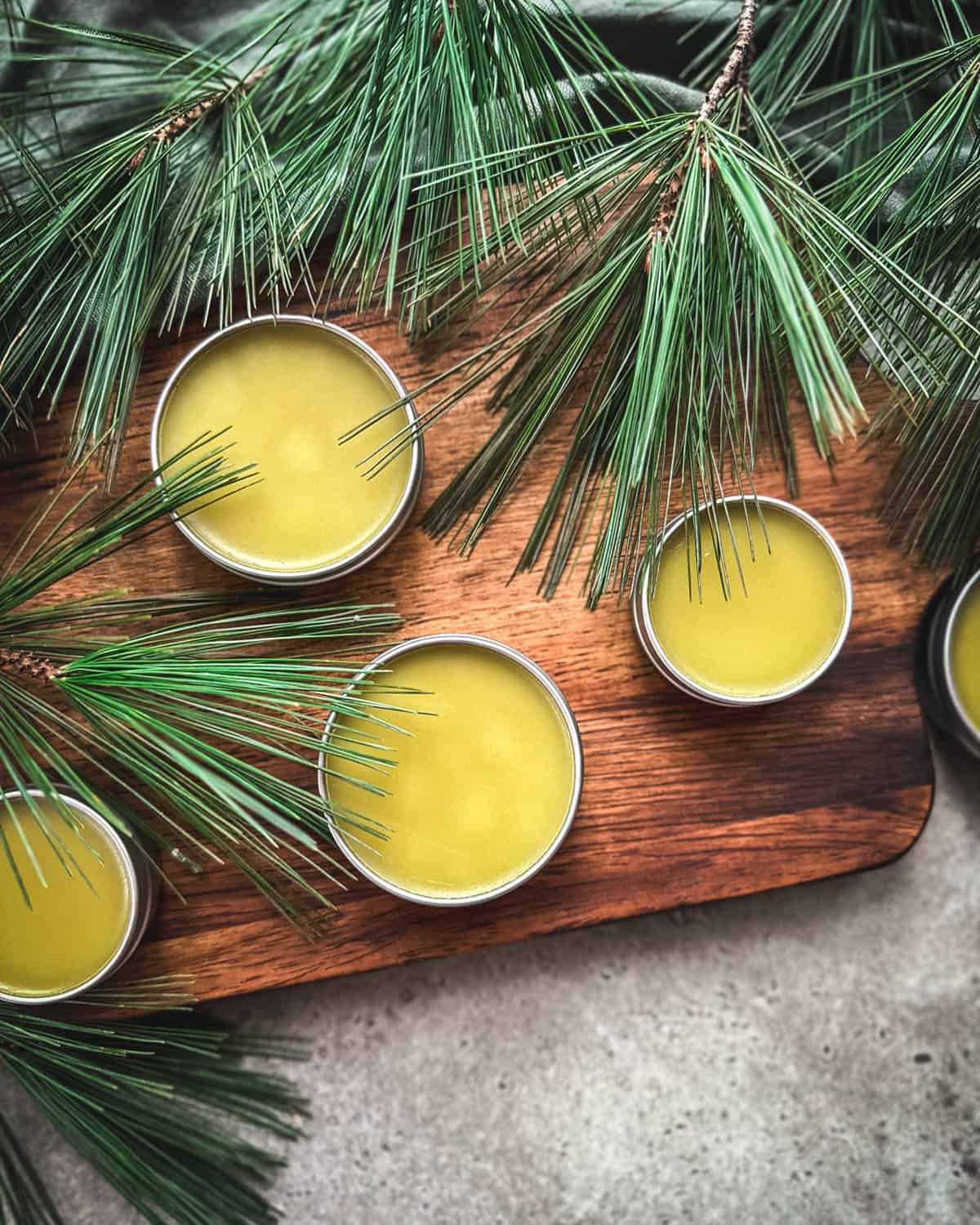 Pine salve in tins, on a wood cutting board surrounded by pine fronds.