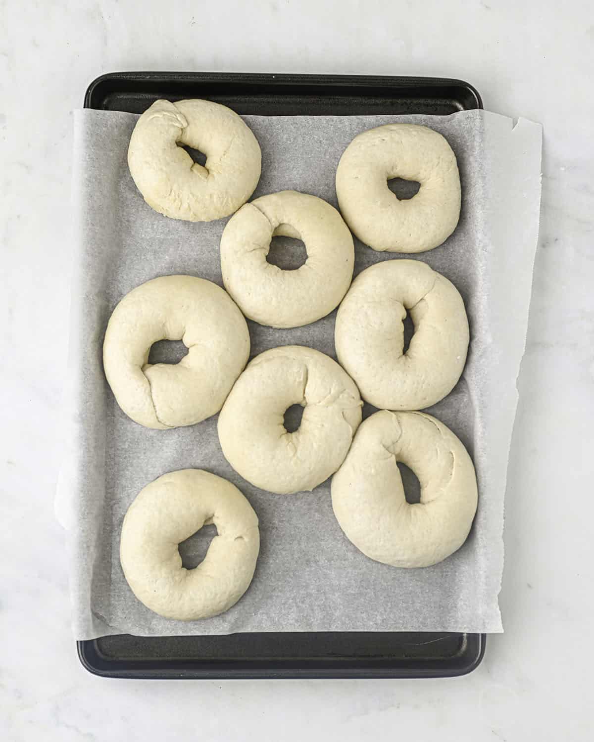 Sourdough bagel dough that are done rising, on a sheet pan with parchment paper. 