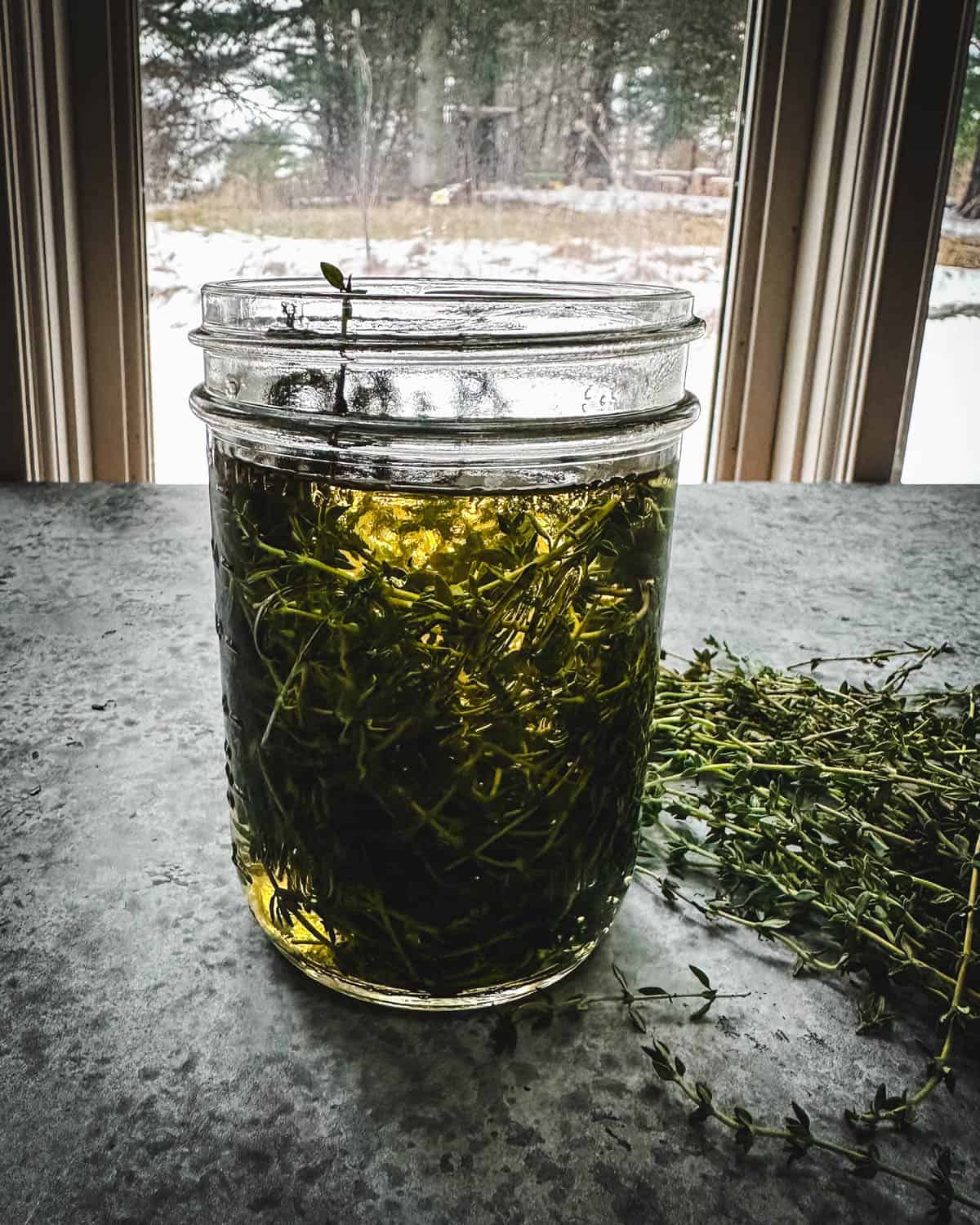 Thyme steeping in hot water in a mason jar, with fresh thyme surrounding. 