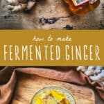 how to make fermented ginger