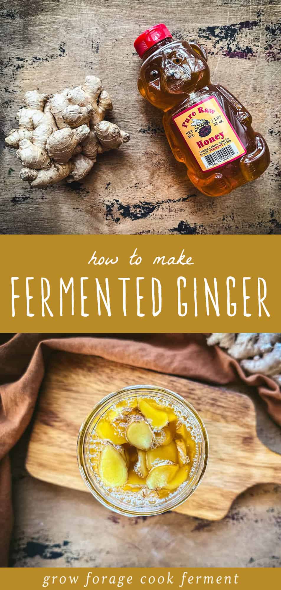 Fermented Ginger Honey