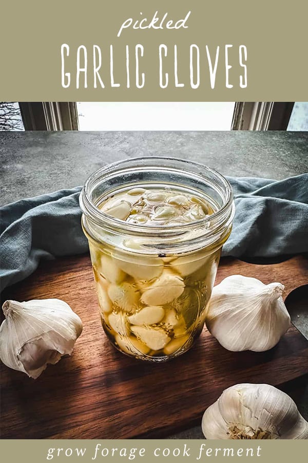 Quick Pickled Garlic