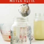 probiotic water kefir