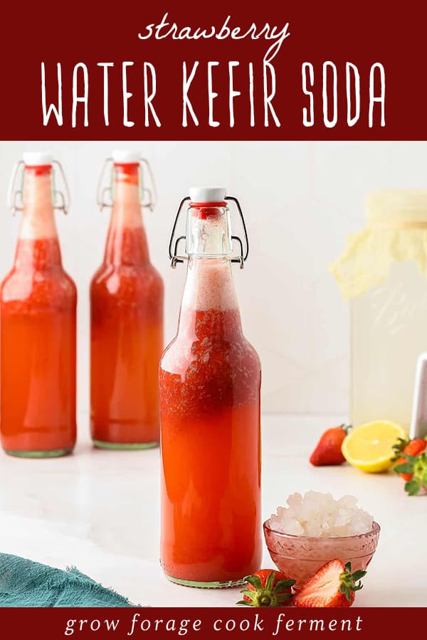 Strawberry Water Kefir Soda Second Ferment