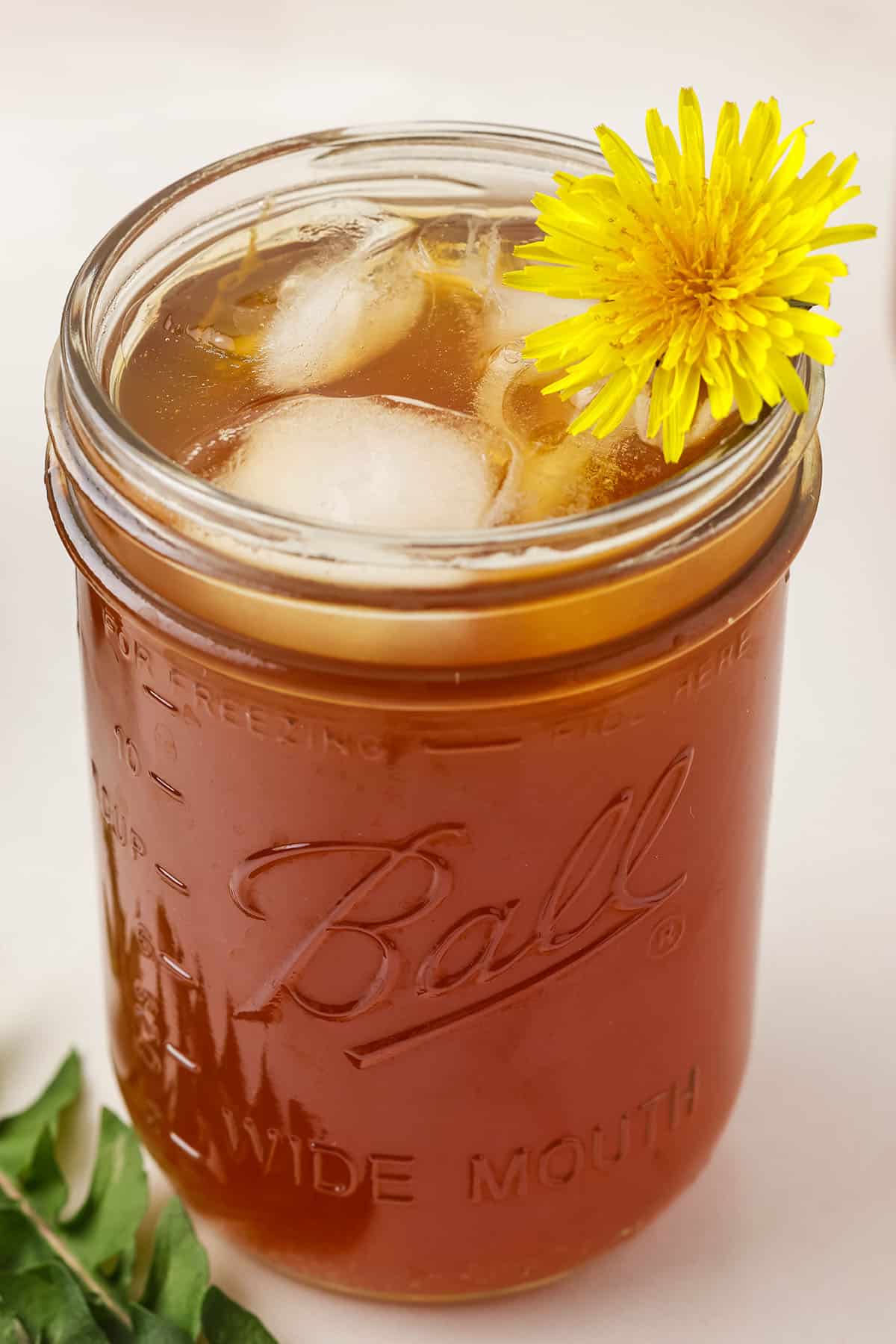 Dandelion kombucha in a glass with ice and garnished with a fresh dandelion flower. 