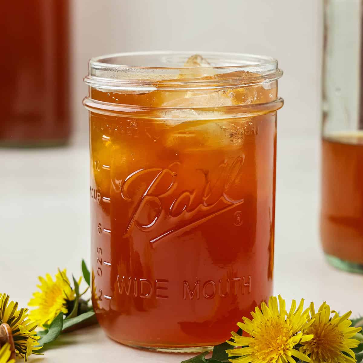 A glass jar of dandelion kombucha with ice, surrounded by fresh dandelion flowers. 