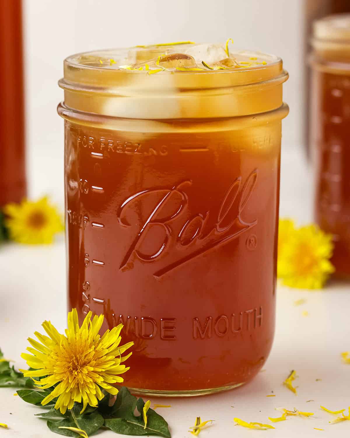 Dandelion kombucha in a glass with ice and garnished with a fresh dandelion flower.