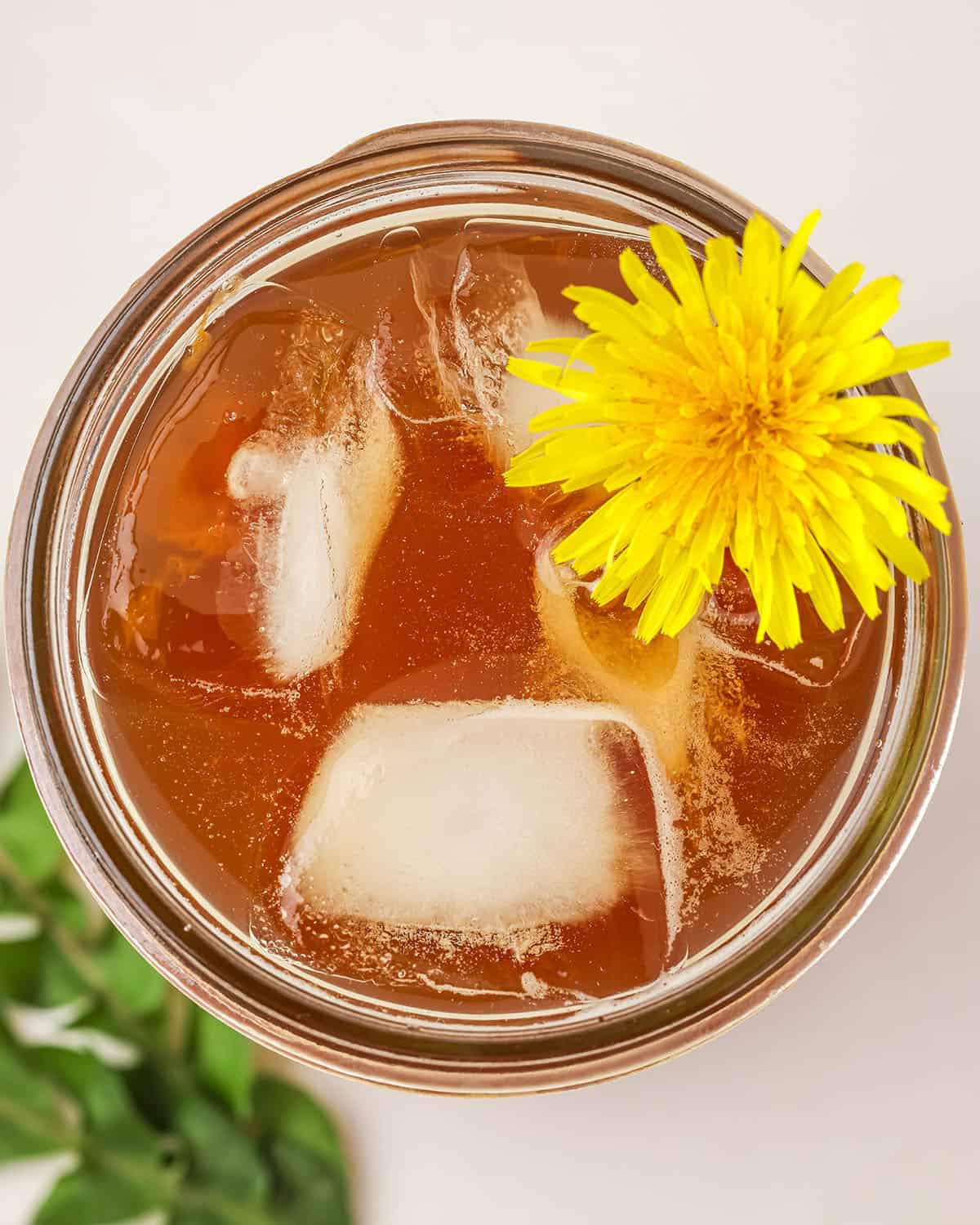 A glass jar of dandelion kombucha with ice, surrounded by fresh dandelion flowers, top view. 