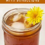 edible flower kombucha