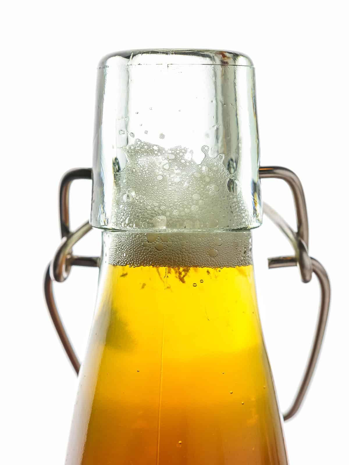 A close up of a neck of a bottle of ginger kombucha, with bubbles foaming on the top.
