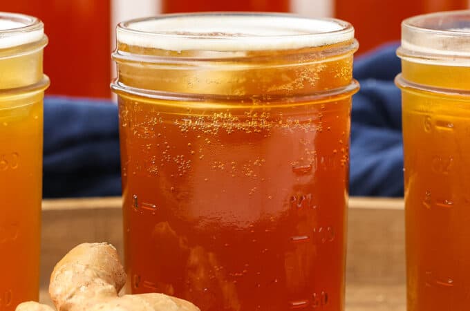 Glass drinking jars filled with ginger kombucha that's fizzy at the top, next to a large ginger root.