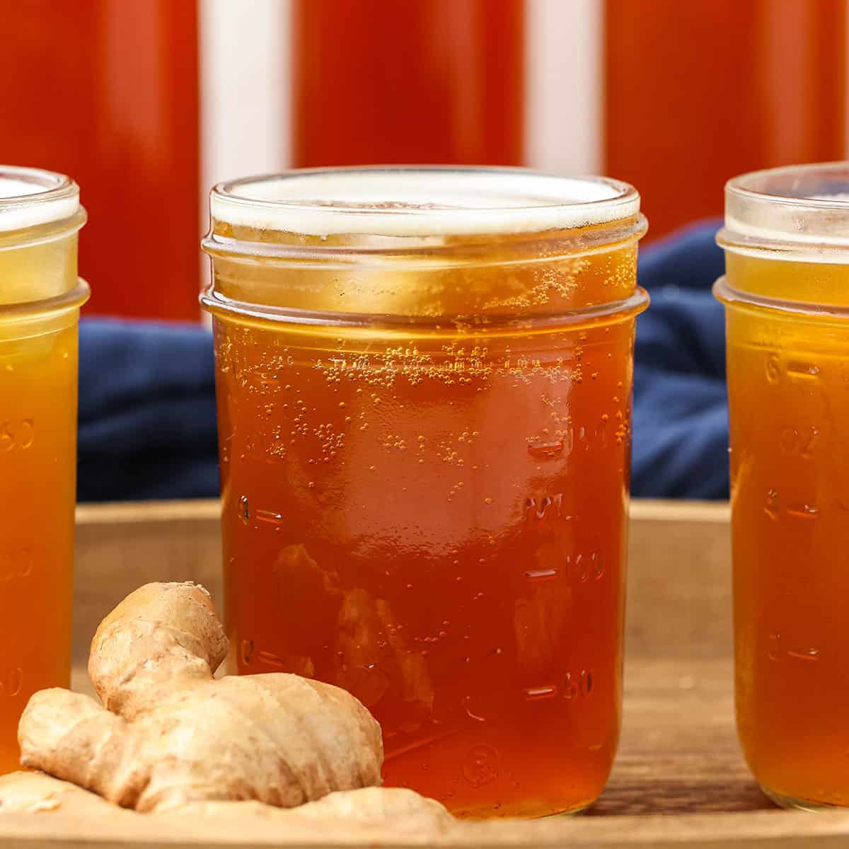 Glass drinking jars filled with ginger kombucha that's fizzy at the top, next to a large ginger root.