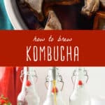 how to brew kombucha
