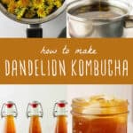 how to make dandelion kombucha