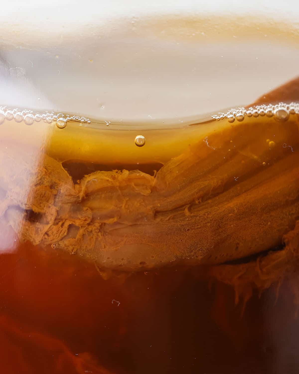 A SCOBY in a jar submerged with kombucha, close up. 