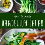 how to make dandelion salad