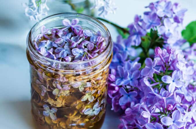 A jar filled with lilacs and honey, surrounded by fresh lilacs.