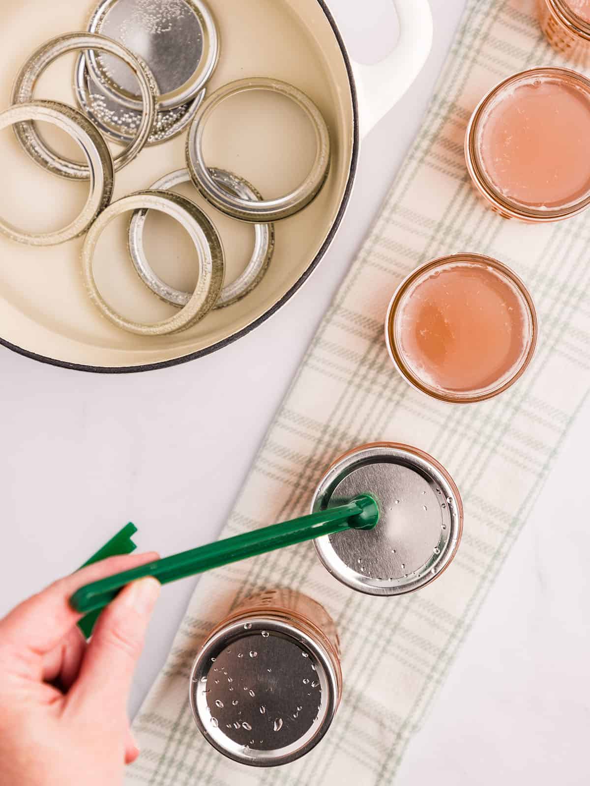 A hand placing a canning lid on jars of wild violet jelly, top view. 